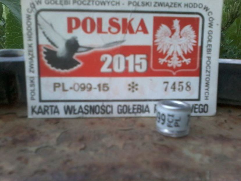POLONIA 2015 - Inele De Colectie PL Polonia
