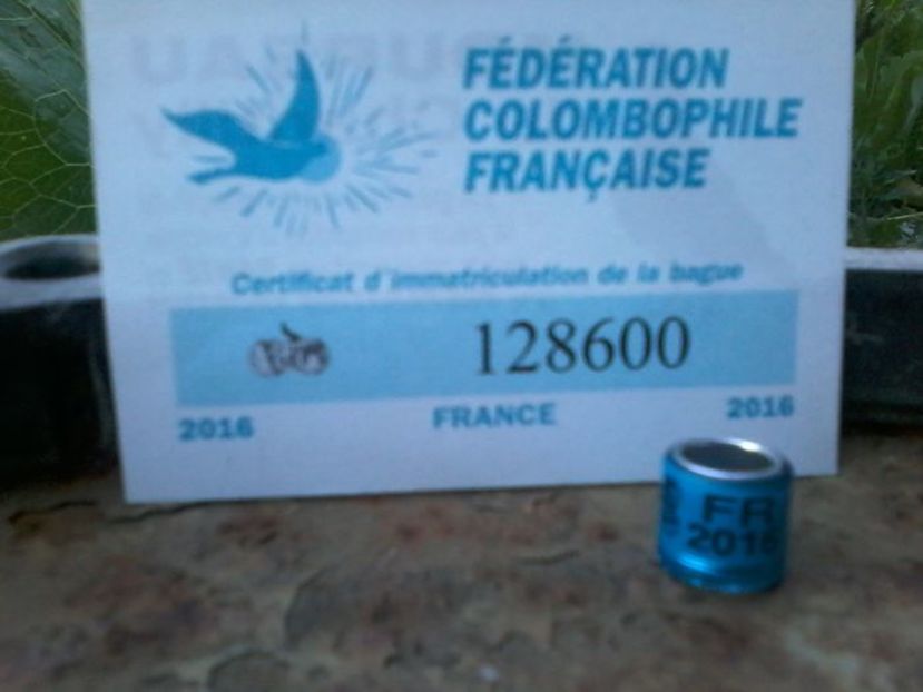 FRANTA 2016 FCI - Inele De Colectie FR Franta