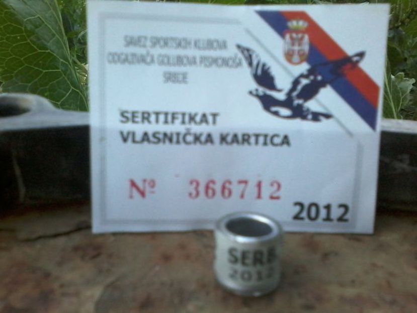 serbia 2012