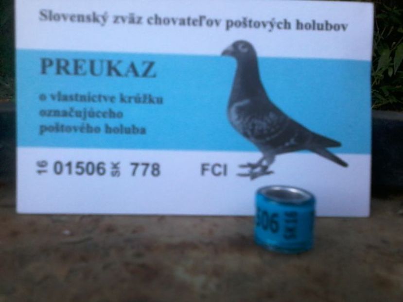 SK SLOVACIA 2016 FCI