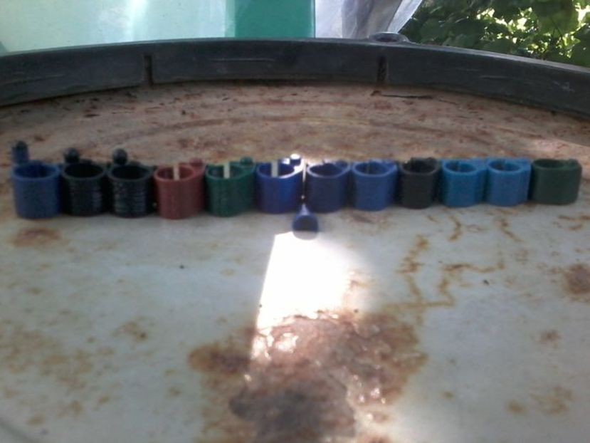 COLECTIE - Cip-Uri Porumbei De Colectie