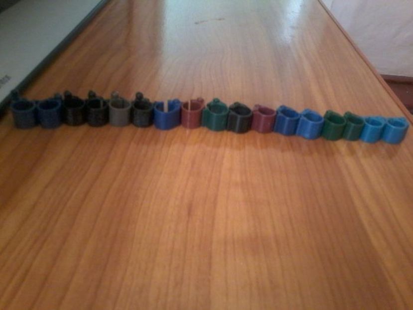 TOATA COLECTIA LA UN LOC - Cip-Uri Porumbei De Colectie