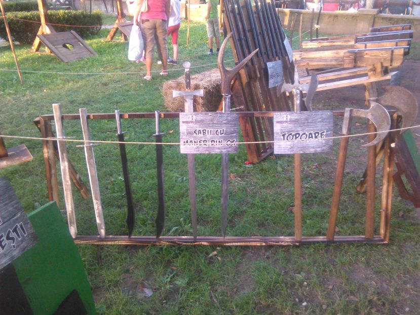  - medieval 2012 si urmatorii