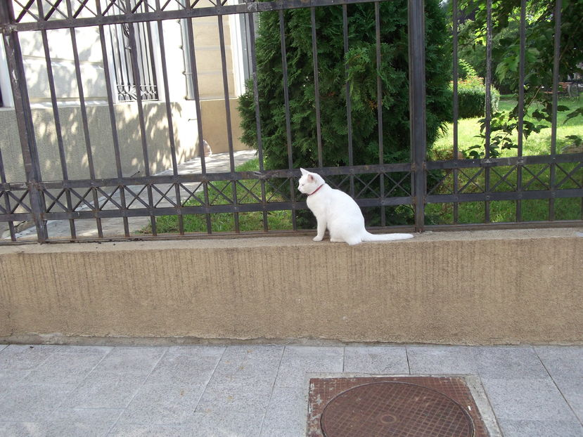 iulie_2016 519