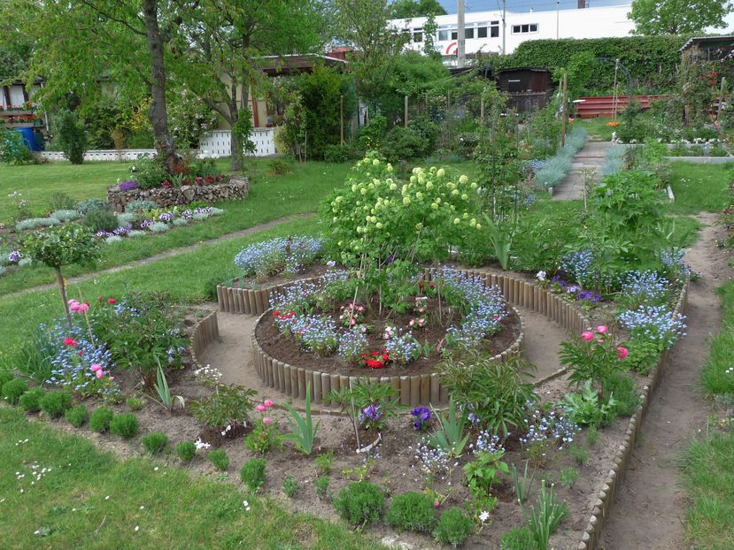 P1820316 - 2016 - 01 - Primavara