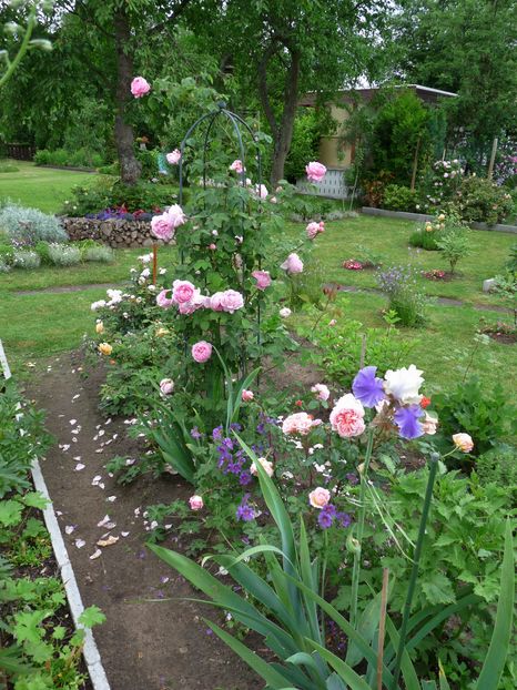 P1920676 - 2016 - 02 - Vara