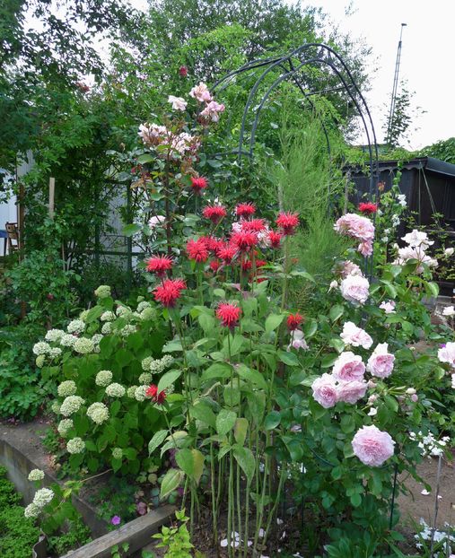 P1950709 - 2016 - 02 - Vara