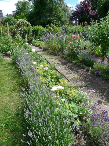 P1950773 - 2016 - 02 - Vara