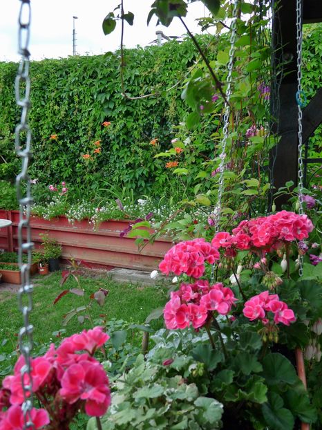 P1950870 - 2016 - 02 - Vara