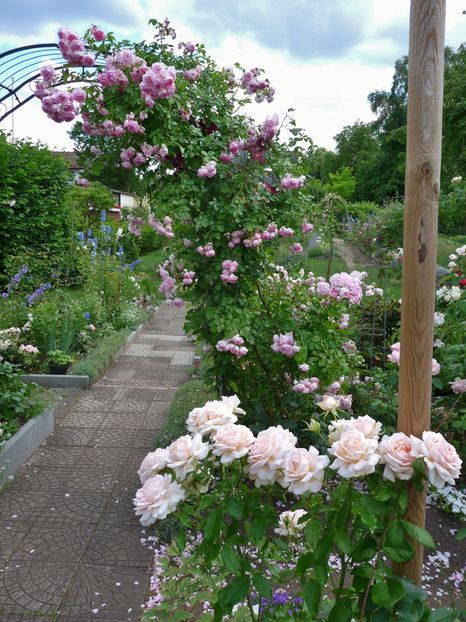 P1960100 - 2016 - 02 - Vara