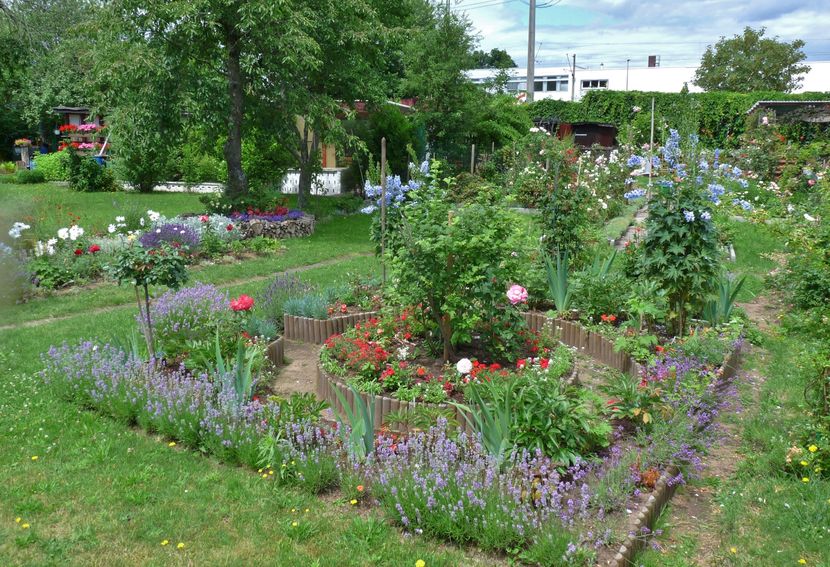 P1960278 - 2016 - 02 - Vara