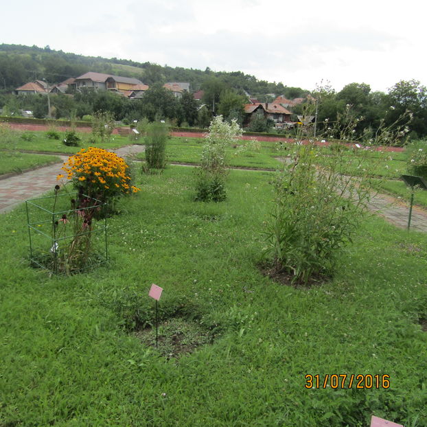  - Gradina botanica Jibou