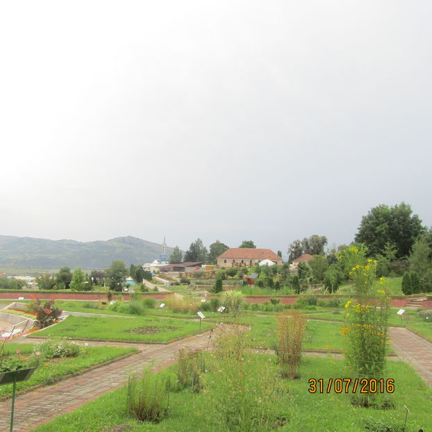  - Gradina botanica Jibou