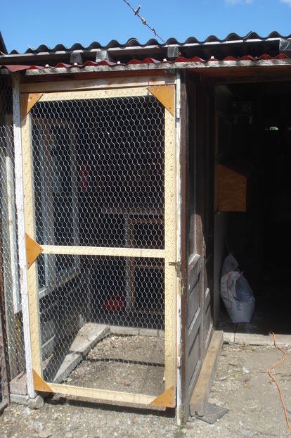 BOXA 1x2,3 M -  ETAJATA; BOXA CONSTRUITA PENTRU O VIITOARE FAMILIE DE GAINI PITICE.
