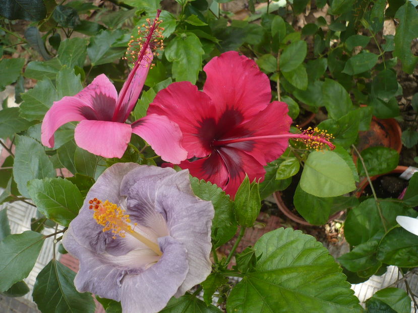 P1290493