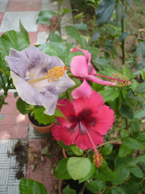 P1290496