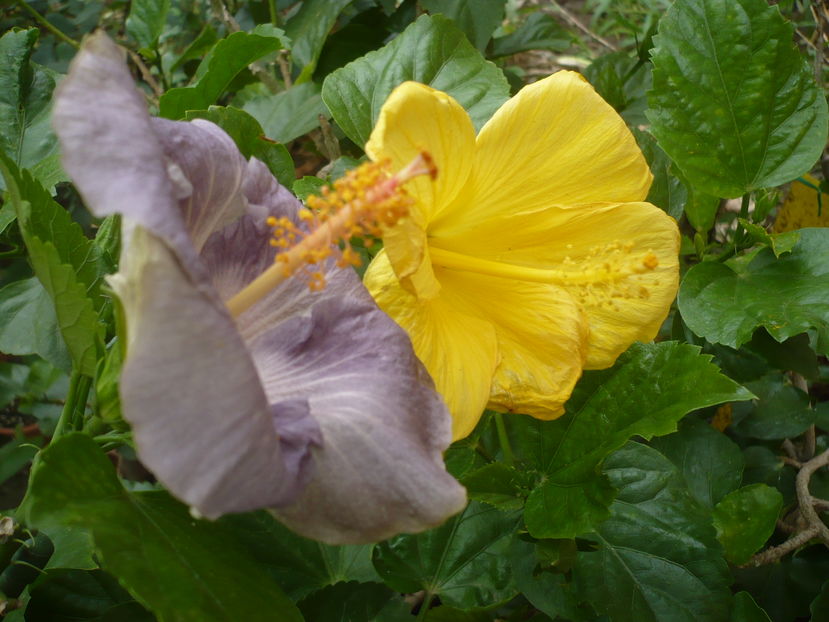 P1290500