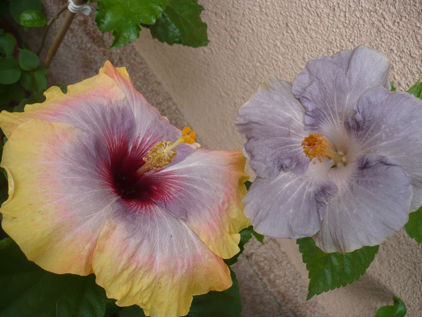 P1290553
