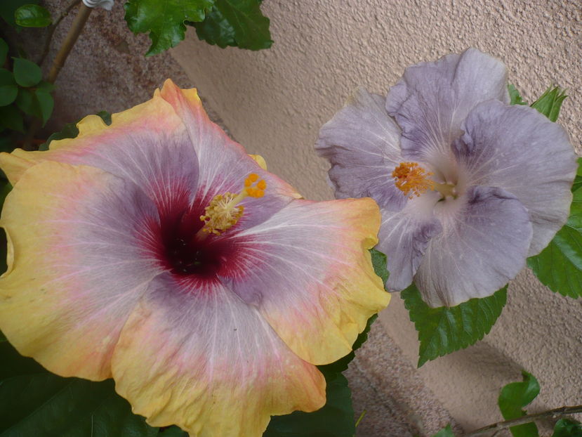 P1290555