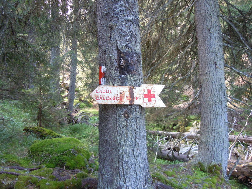 LACUL CALCESCU  21AUG (21)