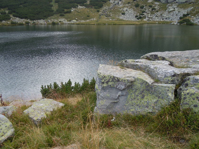 LACUL CALCESCU  21AUG (103) - LACUL CALCESCU- PARANG