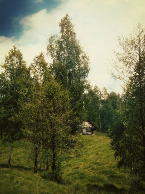  - Photo 01