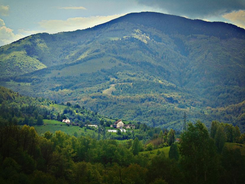  - Photo 01