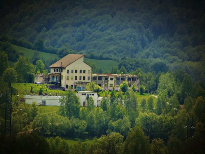  - Photo 01
