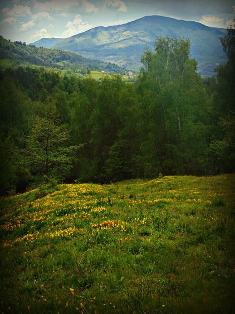  - Photo 01