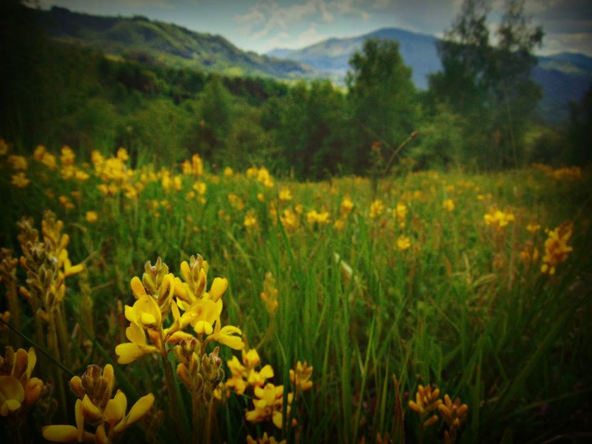  - Photo 01