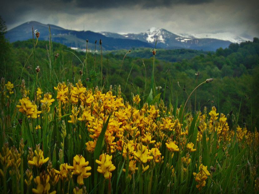  - Photo 01