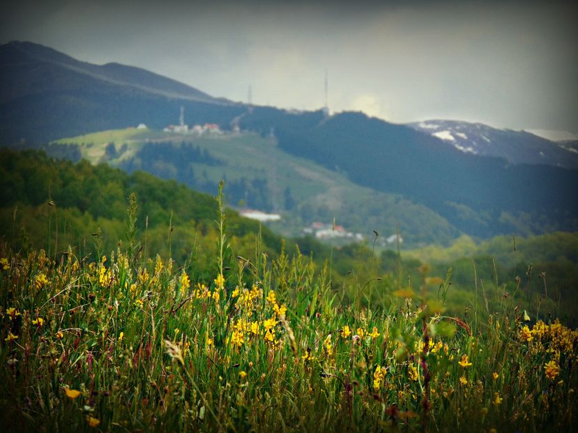  - Photo 01