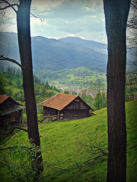  - Photo 01