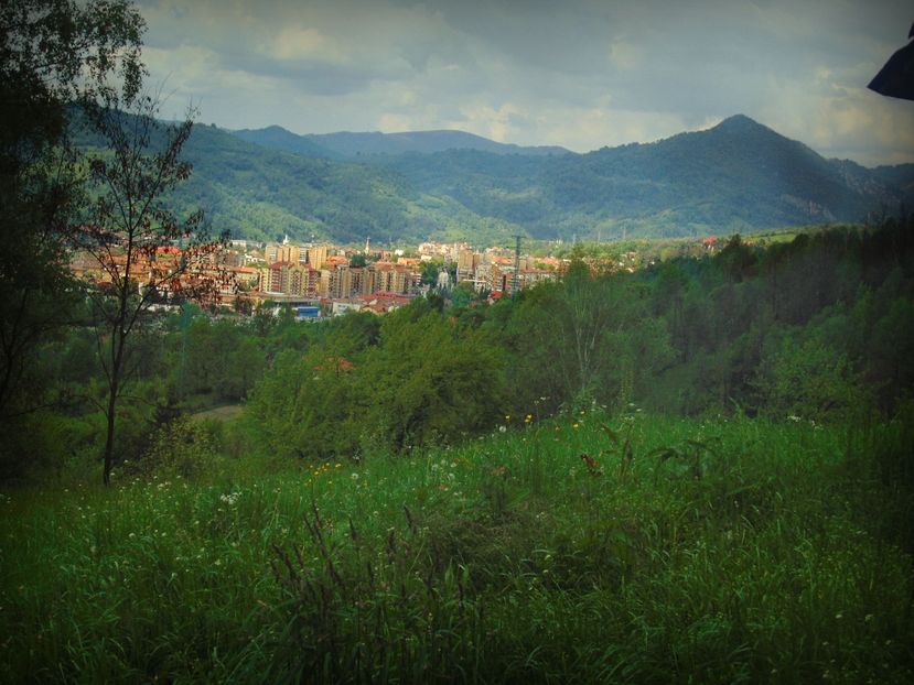 Petrosani - Photo 01