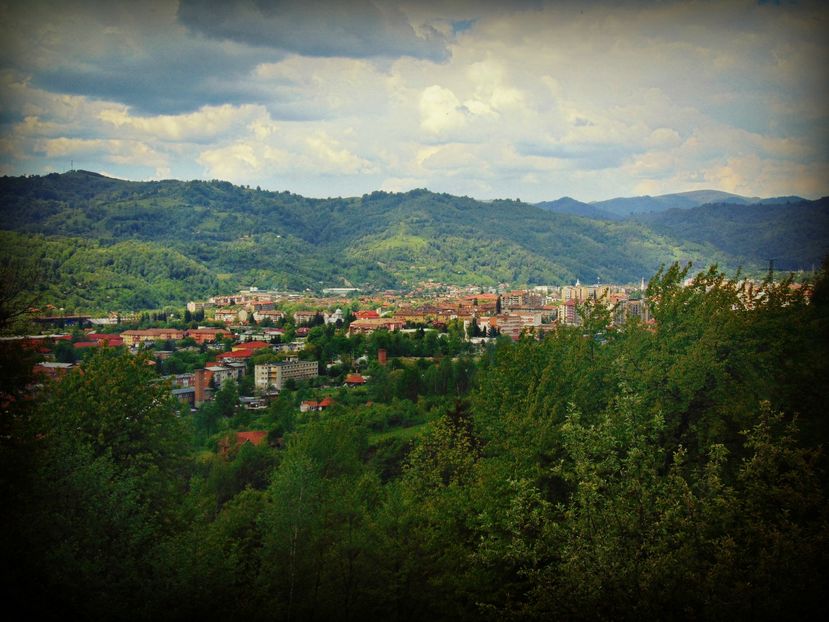 Petrosani - Photo 01
