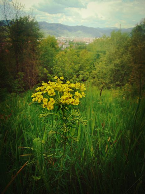  - Photo 01