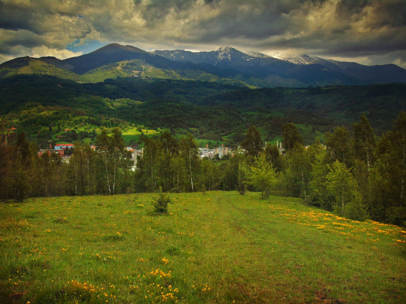 - Photo 01