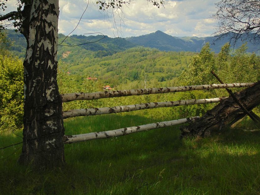  - Photo 01