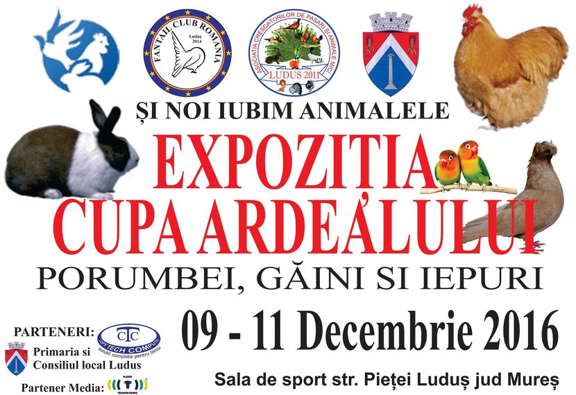 14012743_994687063984678_990040464_o - 1 Asociatia LUDUS2011