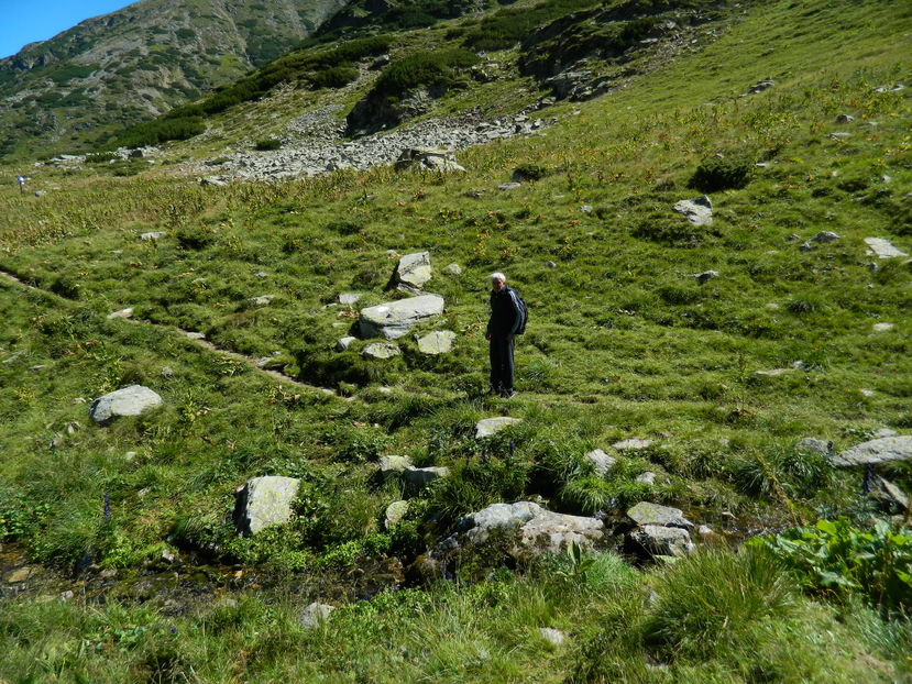  - 2016 PARANGU MIC_LACUL MIJA