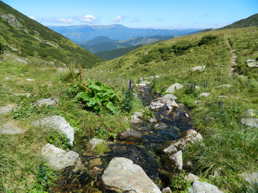  - 2016 PARANGU MIC_LACUL MIJA