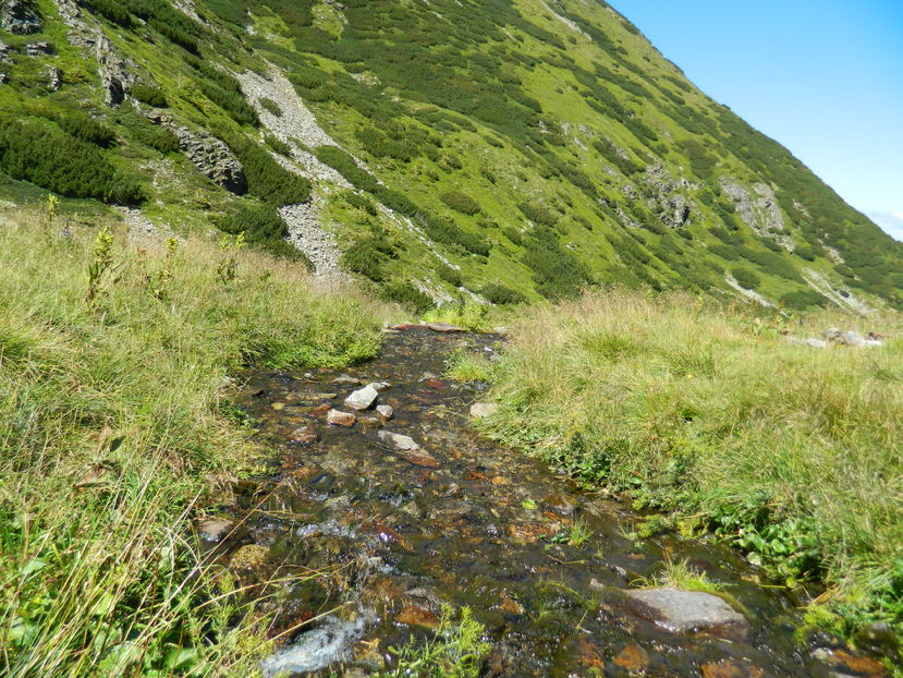  - 2016 PARANGU MIC_LACUL MIJA