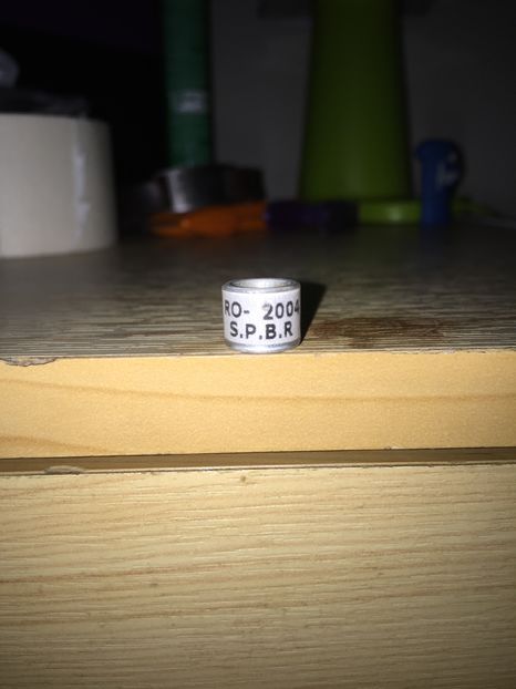 Romania S.P.B.R - Colectia 1 inele porumbei