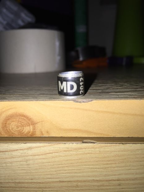 Republica Moldova - Colectia 1 inele porumbei