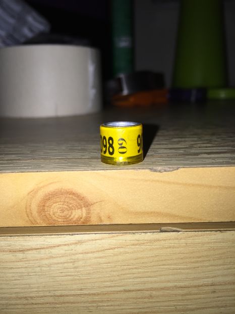 Germania - Colectia 1 inele porumbei