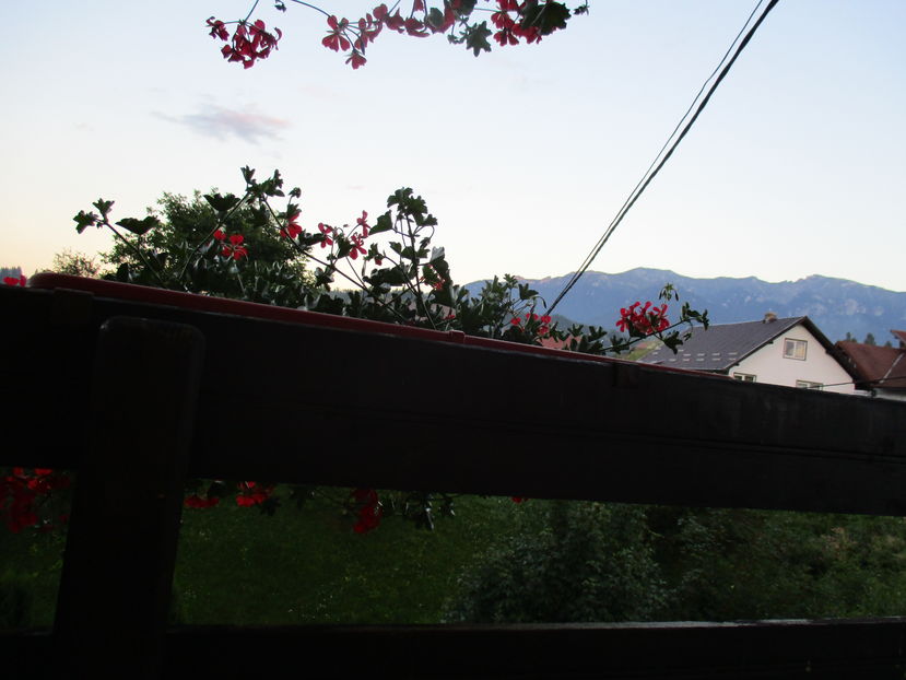  - Moeciu