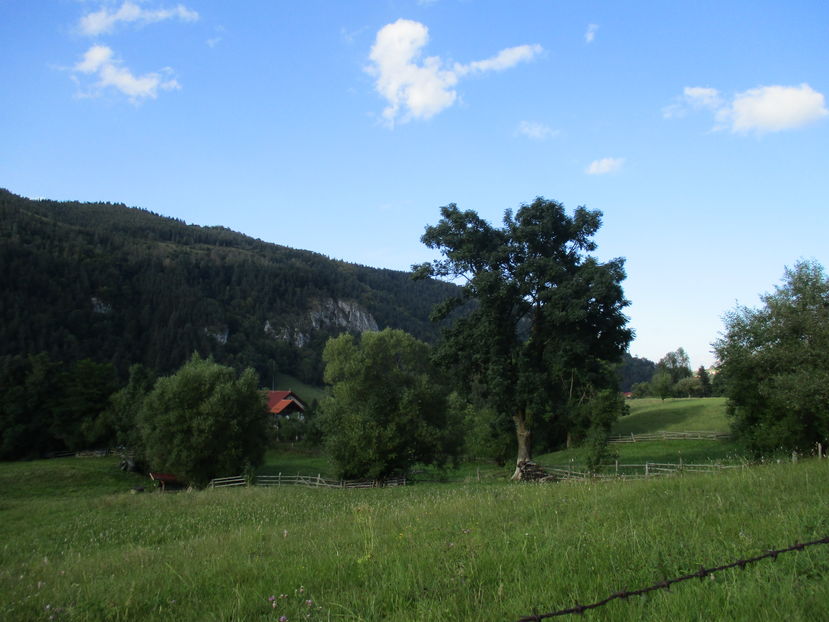  - Moeciu