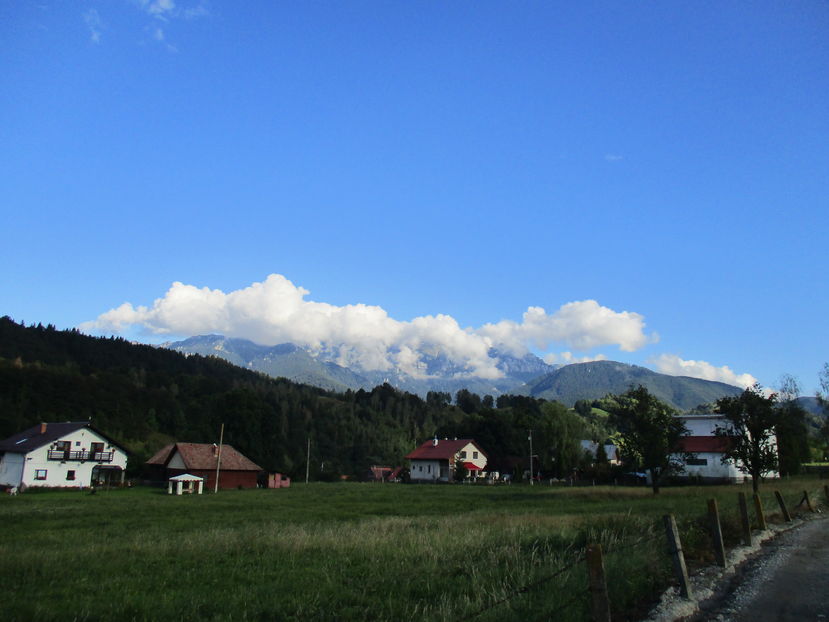  - Moeciu