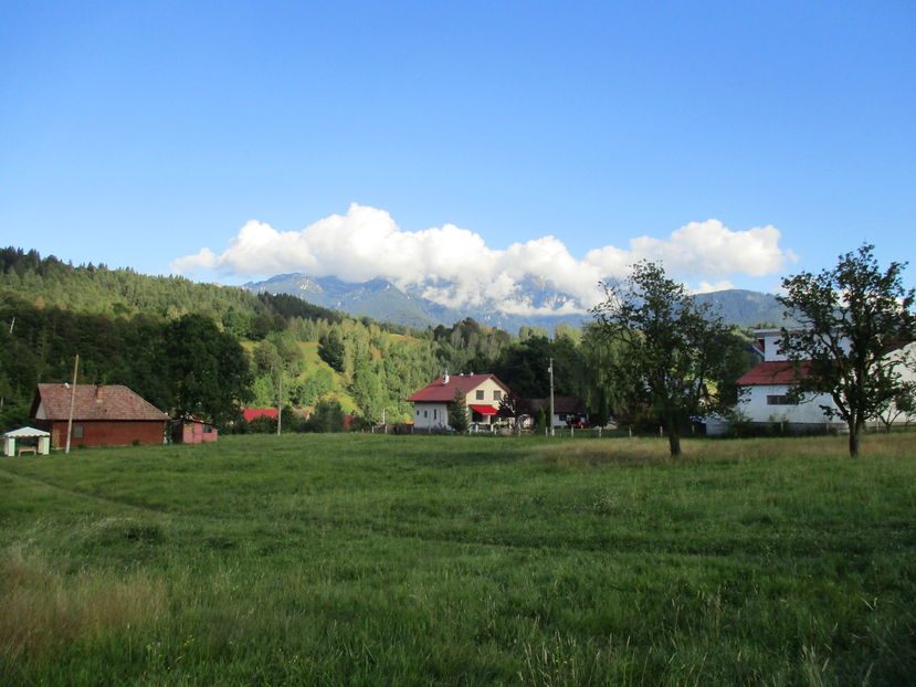  - Moeciu