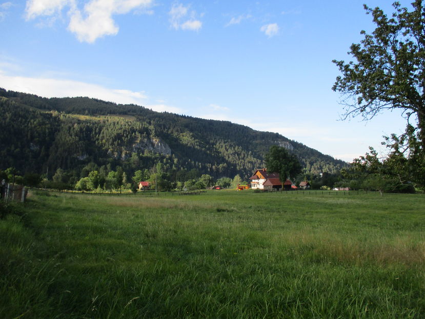  - Moeciu